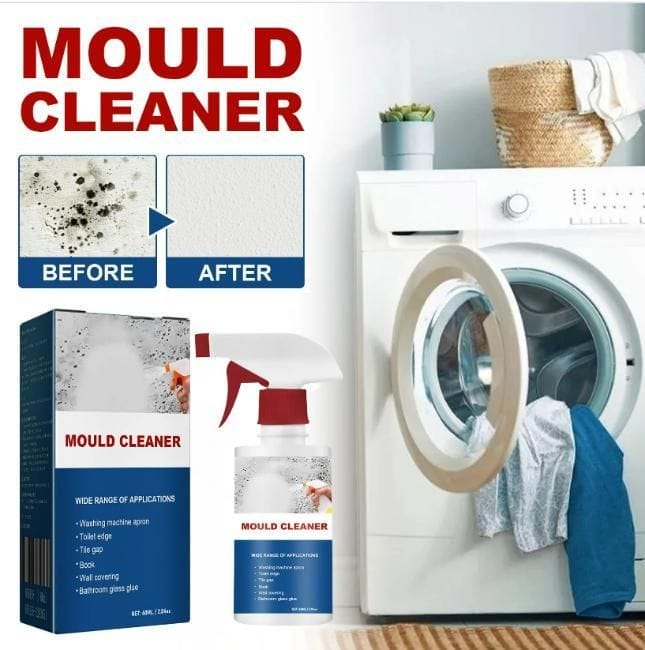 Pest & mould Cleaning Foam Spray (Pack of 2)